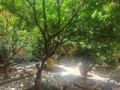 Appartamento in vendita a Cagliari, San be... - foto 2