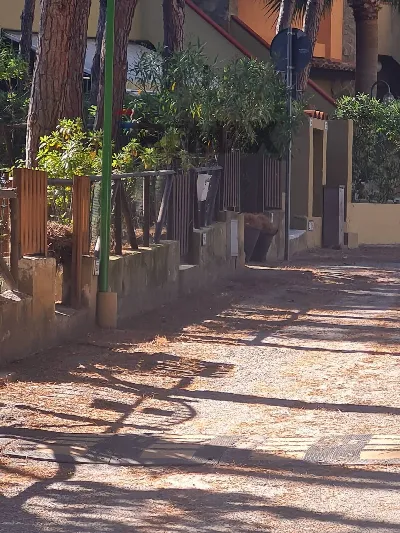 Appartamento in vendita a Pula - foto 9