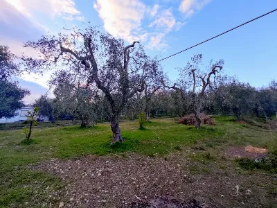 Appartamento in vendita a Mattinata - foto 10