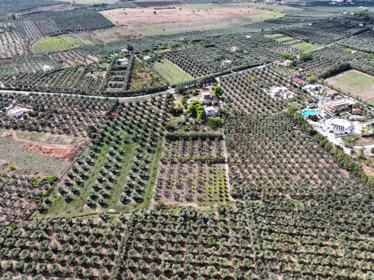 Appartamento in vendita a Rodi Garganico - foto 2