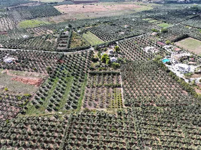 Appartamento in vendita a Rodi Garganico - foto 2