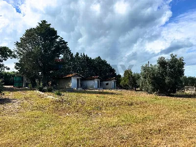 Appartamento in vendita a Rodi Garganico - foto 8