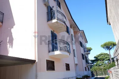 Appartamento in vendita a Pietramelara - foto 2