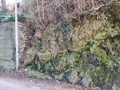 Appartamento in vendita a Savona, Villapia... - foto 2