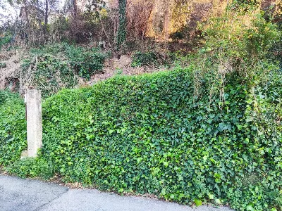 Appartamento in vendita a Savona, Villapia... - foto 4