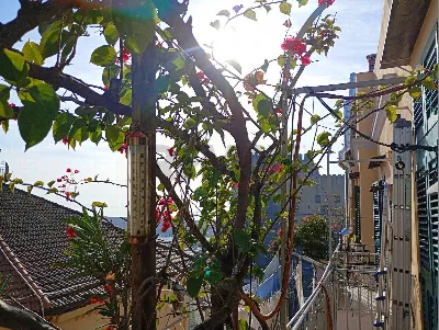 Appartamento in vendita a Napoli, Centro - foto 2
