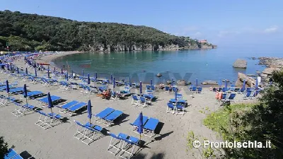 Appartamento in vendita a Lacco Ameno - foto 2