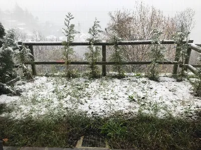 Appartamento in vendita a Sant'Omobono Ter... - foto 7