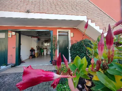 Appartamento in vendita a Stienta - foto 7