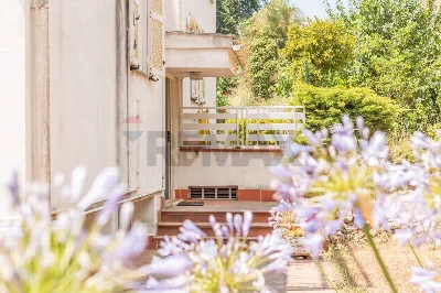 Appartamento in vendita a Canino - foto 4