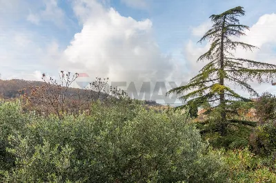 Appartamento in vendita a Semproniano - foto 6