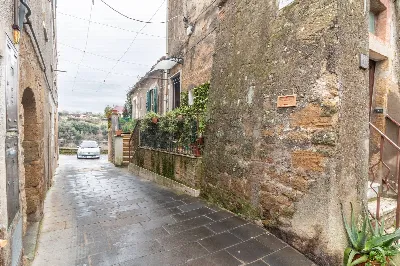 Appartamento in vendita a Ischia di Castro - foto 6