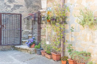 Appartamento in vendita a Ischia di Castro - foto 5