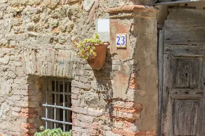 Appartamento in vendita a Magliano in Tosc... - foto 4