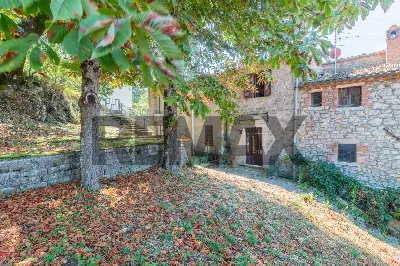 Appartamento in vendita a Semproniano - foto 4