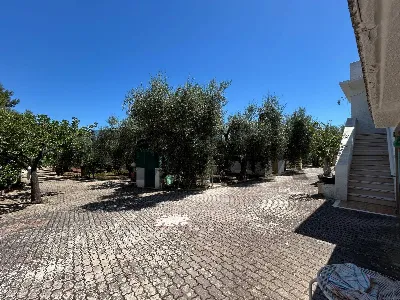 Appartamento in vendita a Vieste - foto 6