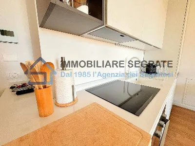 Appartamento in vendita a Segrate - foto 7