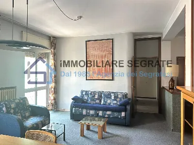 Appartamento in vendita a Segrate - foto 7