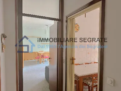 Appartamento in vendita a Segrate - foto 9