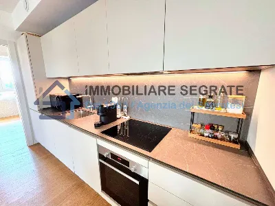 Appartamento in vendita a Segrate - foto 7