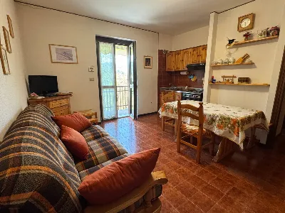 Appartamento in vendita a Roburent - foto 4