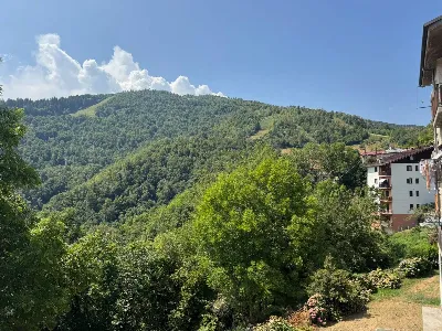 Appartamento in vendita a Roburent - foto 10