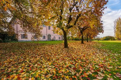 Appartamento in vendita a Alessandria, Lit... - foto 5