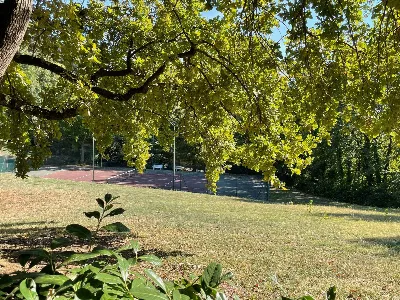 Appartamento in vendita a Moncalieri - foto 4