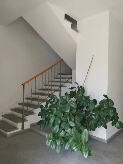 Appartamento in vendita ad Asti, Centro - foto 7