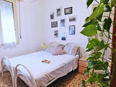 Appartamento in vendita a Pisa, Centro - foto 7