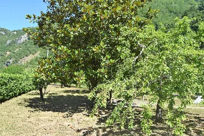 Appartamento in vendita a Bagni di Lucca - foto 7