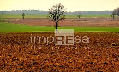 Appartamento in vendita a Castelcucco - foto 10