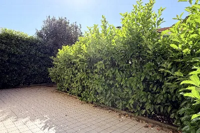 Appartamento in vendita a Pesaro, Mare, Po... - foto 8