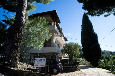 Appartamento in vendita a Bordighera - foto 3