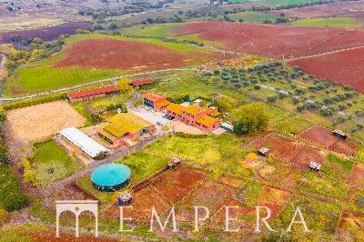 Appartamento in vendita a Roma, Trigoria, ... - foto 2