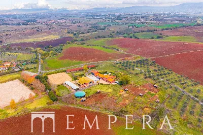 Appartamento in vendita a Roma, Trigoria, ... - foto 6