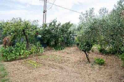 Appartamento in vendita a Ostra Vetere - foto 10