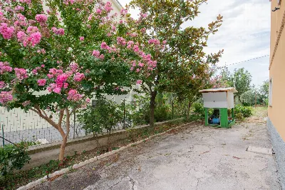 Appartamento in vendita a Ostra Vetere - foto 7