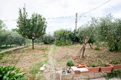 Appartamento in vendita a Ostra Vetere - foto 8