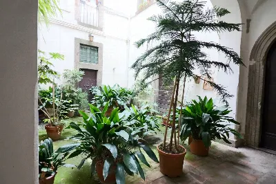 Appartamento in vendita a Vetralla - foto 7