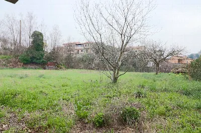 Appartamento in vendita a Vetralla - foto 4