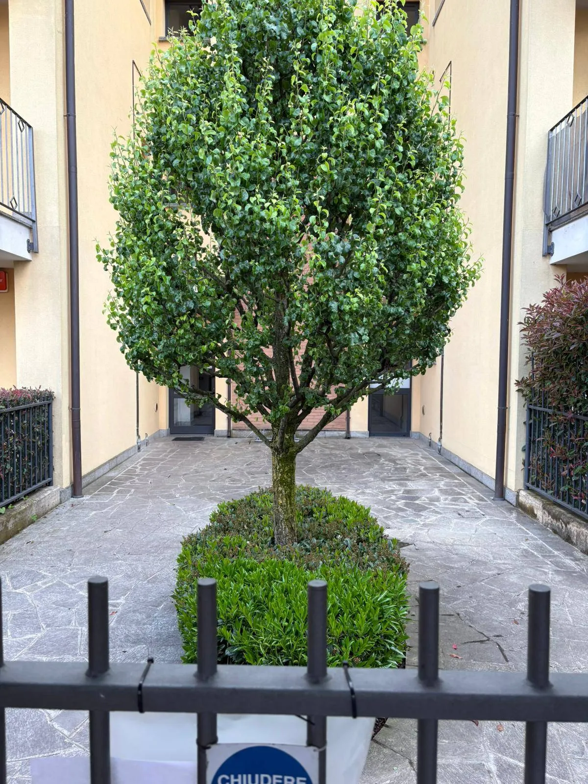Appartamento in vendita a Cornate d'Adda - foto 4