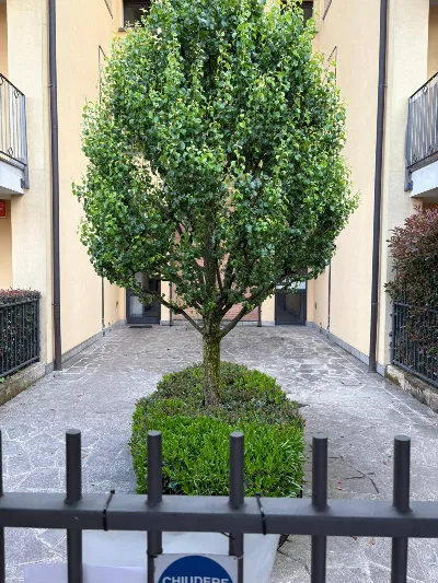 Appartamento in vendita a Cornate d'Adda - foto 4