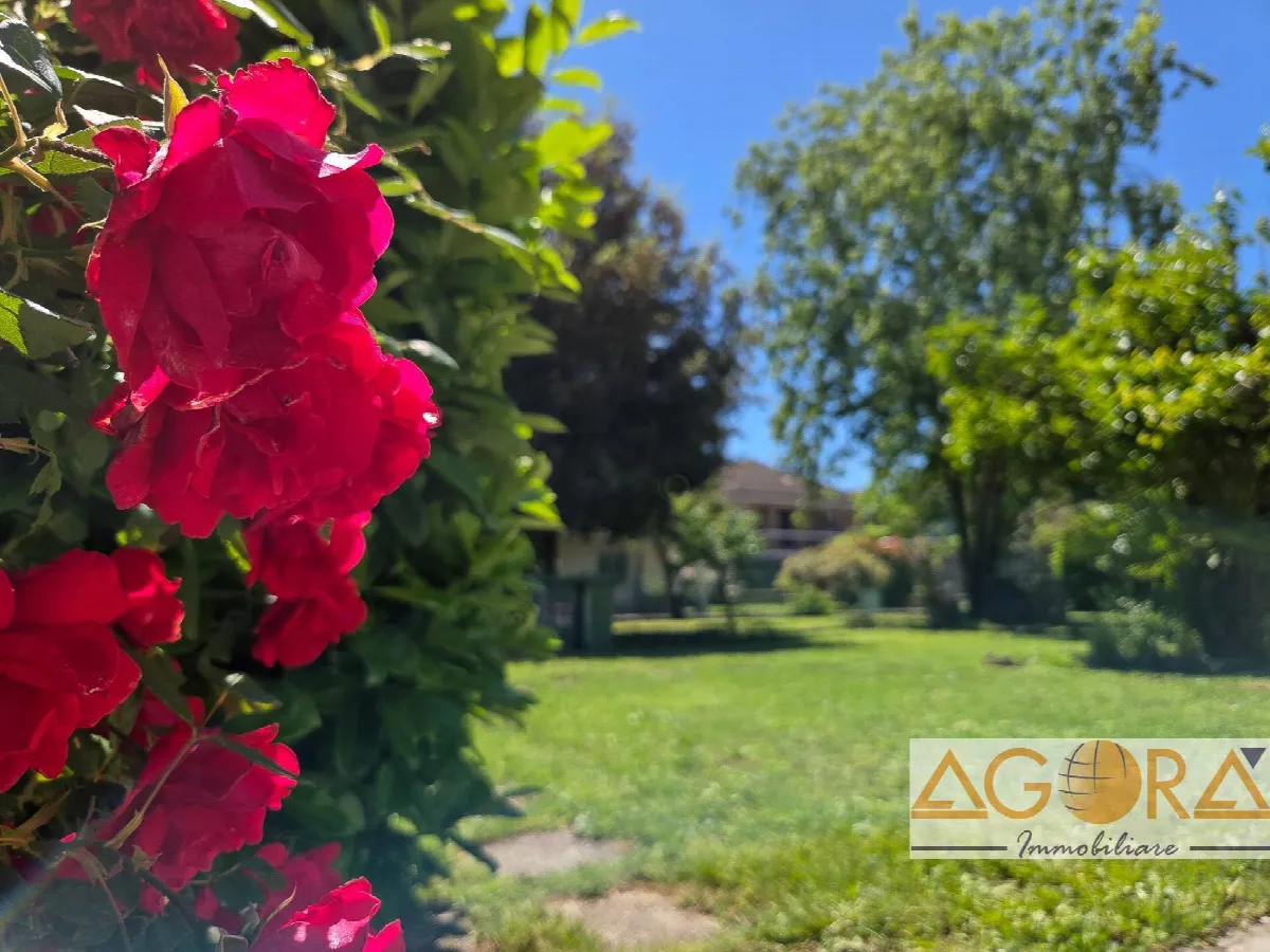 Appartamento in vendita a Villalvernia - foto 4
