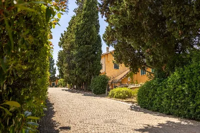 Appartamento in vendita a Nepi - foto 2