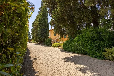 Appartamento in vendita a Nepi - foto 6