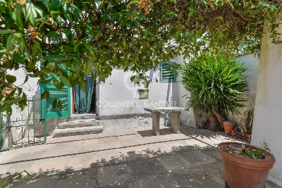 Appartamento in vendita a Campo nell'Elba - foto 3