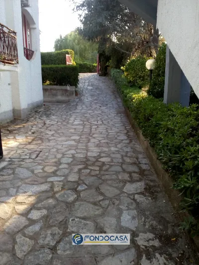 Appartamento in vendita a Centola - foto 4