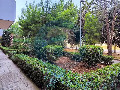 Appartamento in vendita a Bari, Picone, Ca... - foto 6