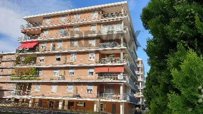 Appartamento in vendita a Gallarate - foto 2